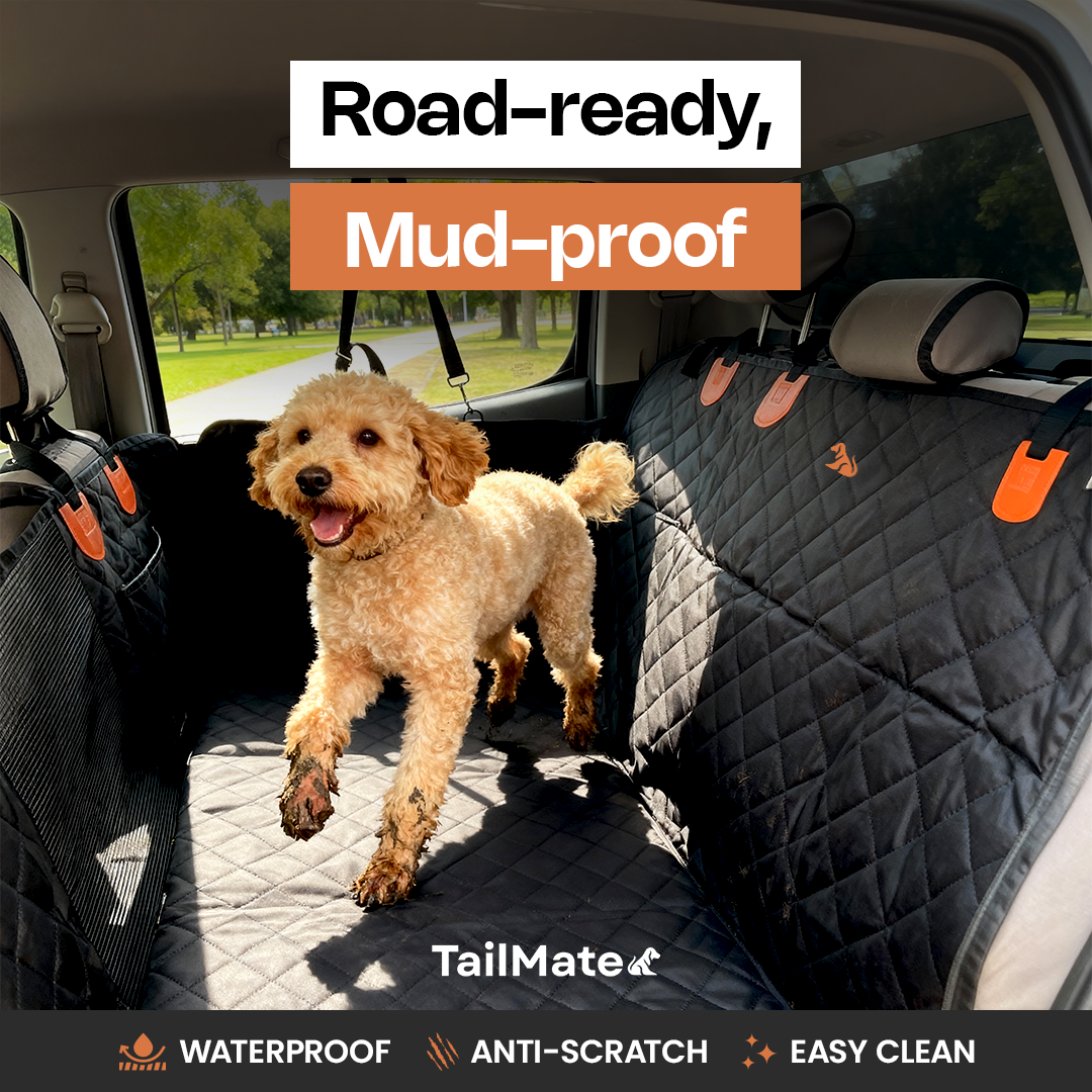 TailMate Car Seat Protector