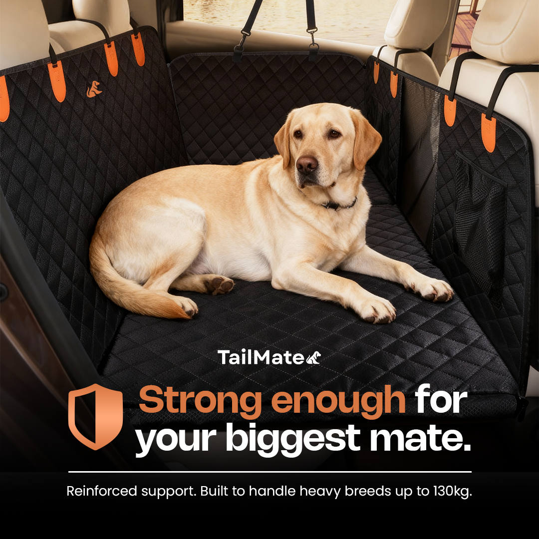 TailMate Car Seat Protector