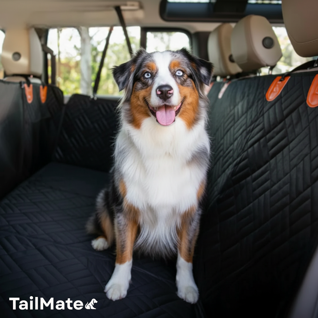 TailMate Car Seat Protector